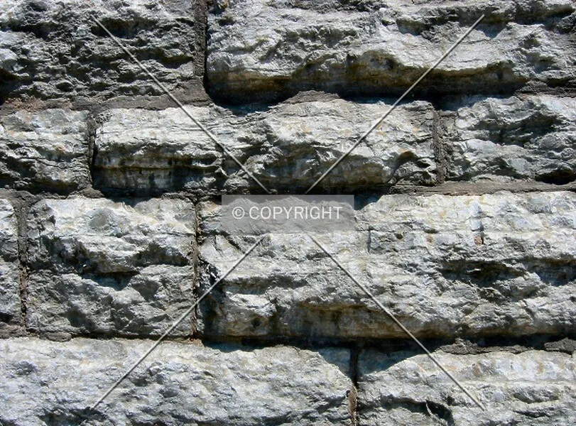 Photo 711-809-705
