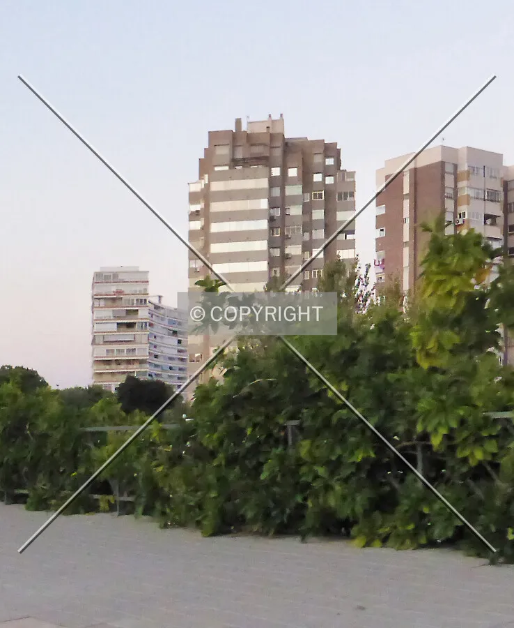 Photo 712-122-770