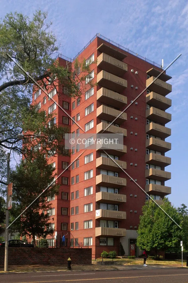 View from the northeast