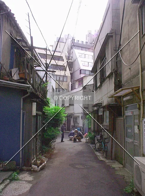 Photo 713-244-565