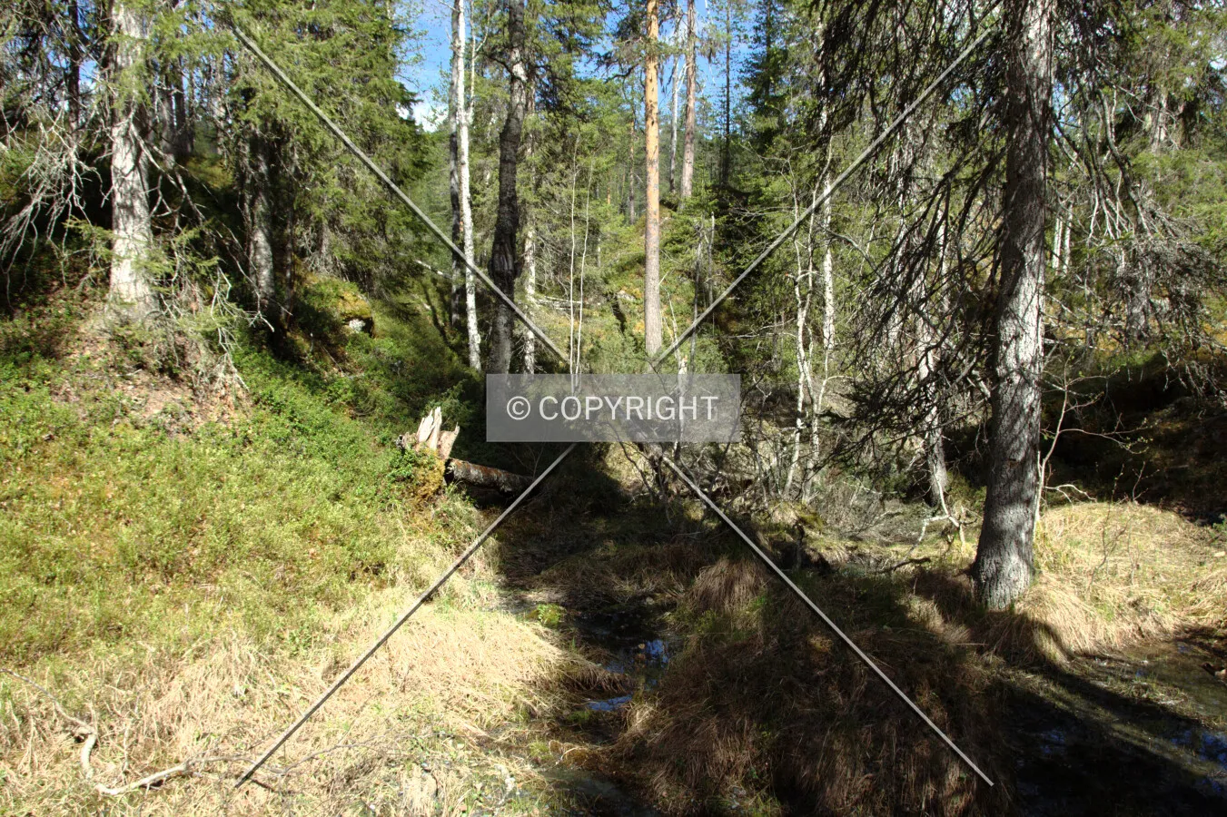Oulanka National Park
