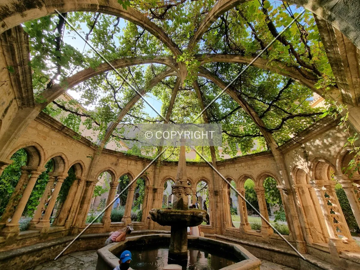 Photo 713-836-333