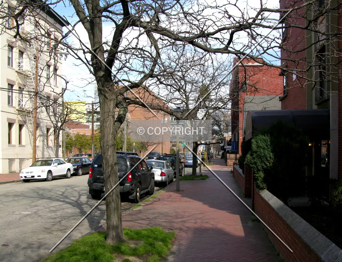 From Botetourt Street looking west