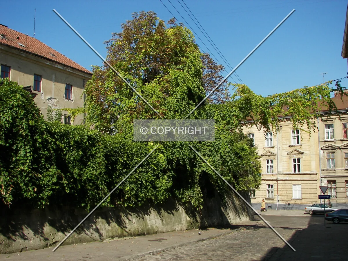 Looking down Kyrylo and Mefodiy Street