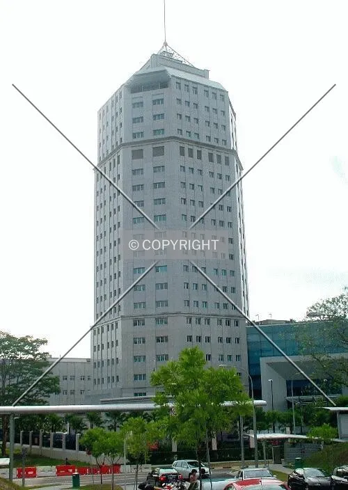 View from Tan Tock Seng Link