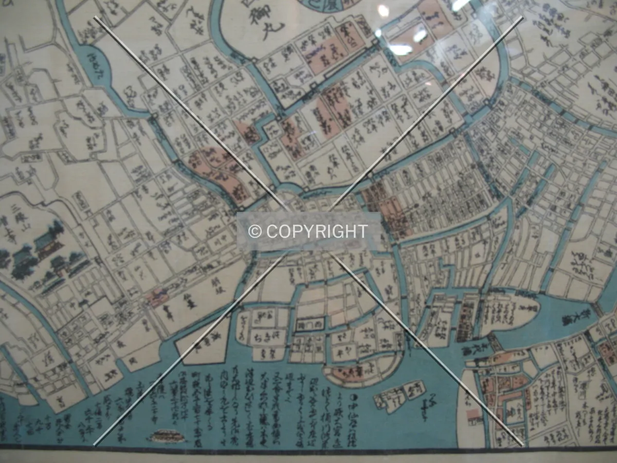 Photo 716-229-455