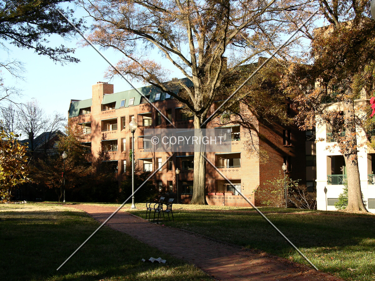 View from the southeast