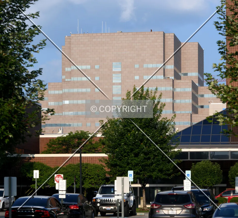 View from the northeast