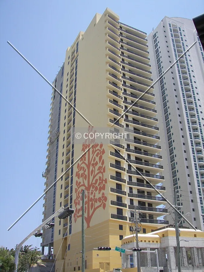 Looking up from the west on Collins Avenue