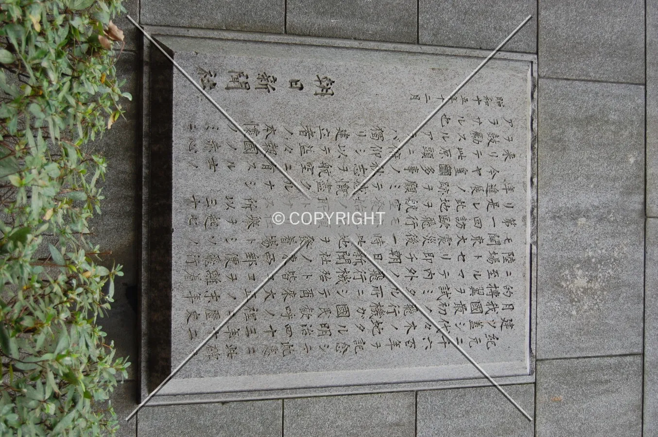 Photo 717-251-355