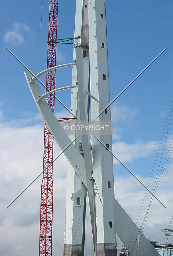 View of the growing structure