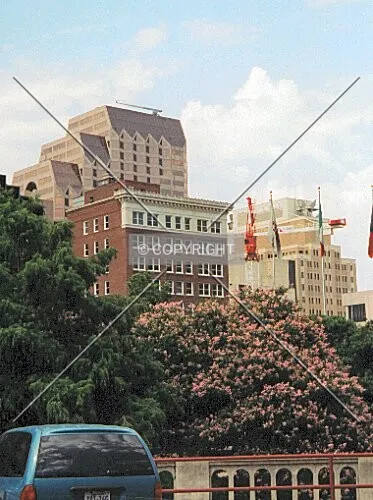 With lush trees and flowering bushes in downtown