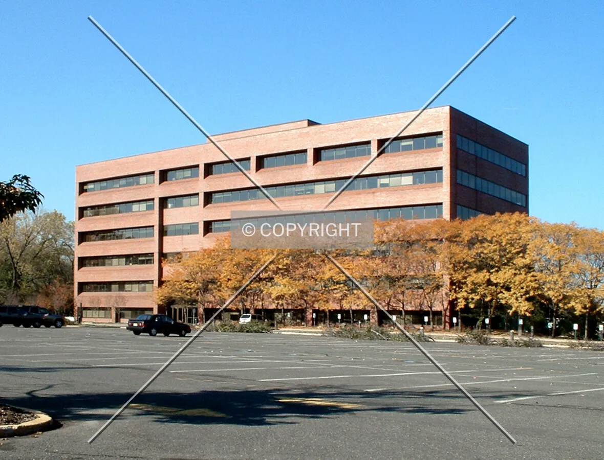 View from the southeast