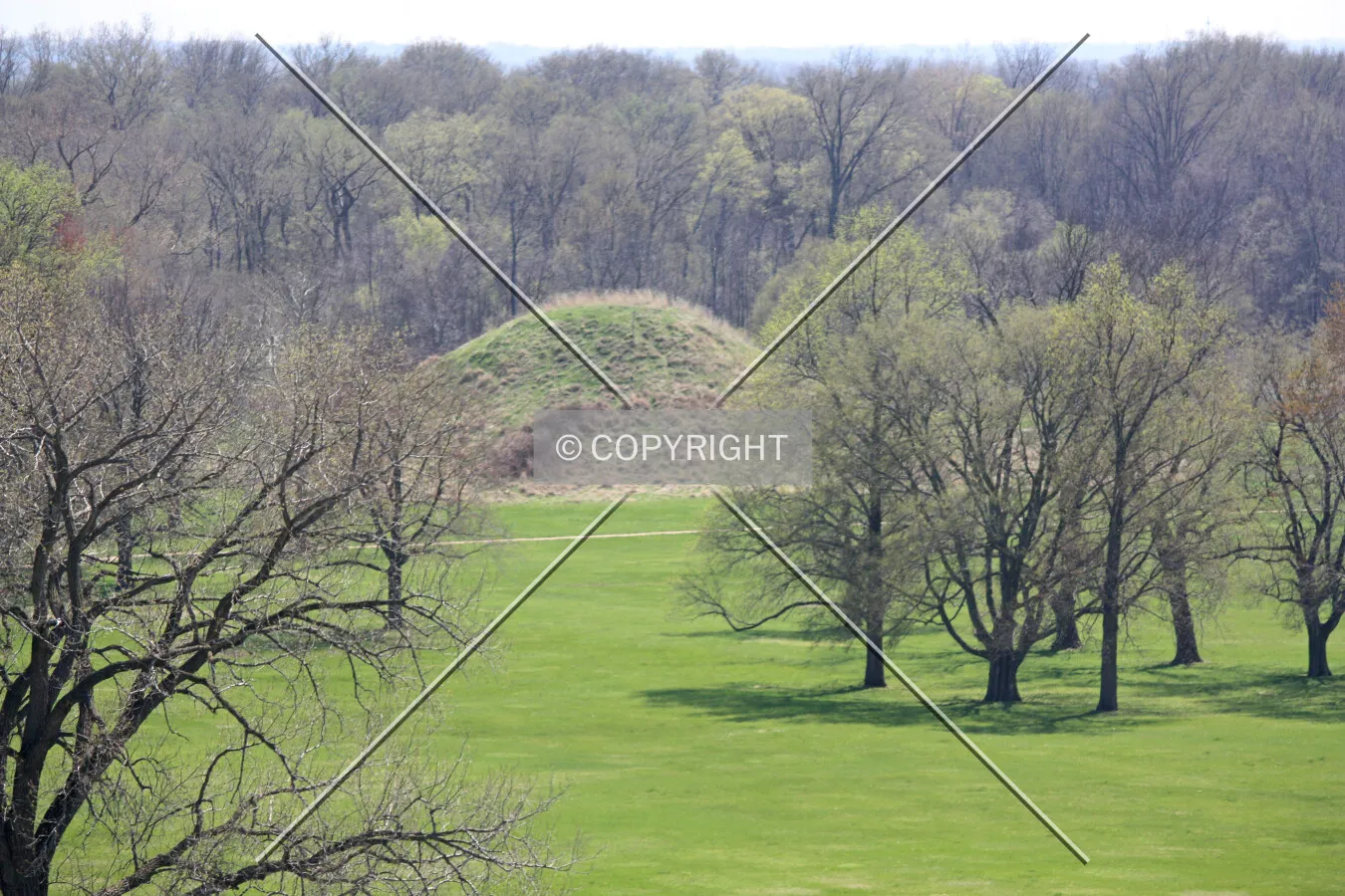 View from Monks Mound to the northeast; April 18, 2014