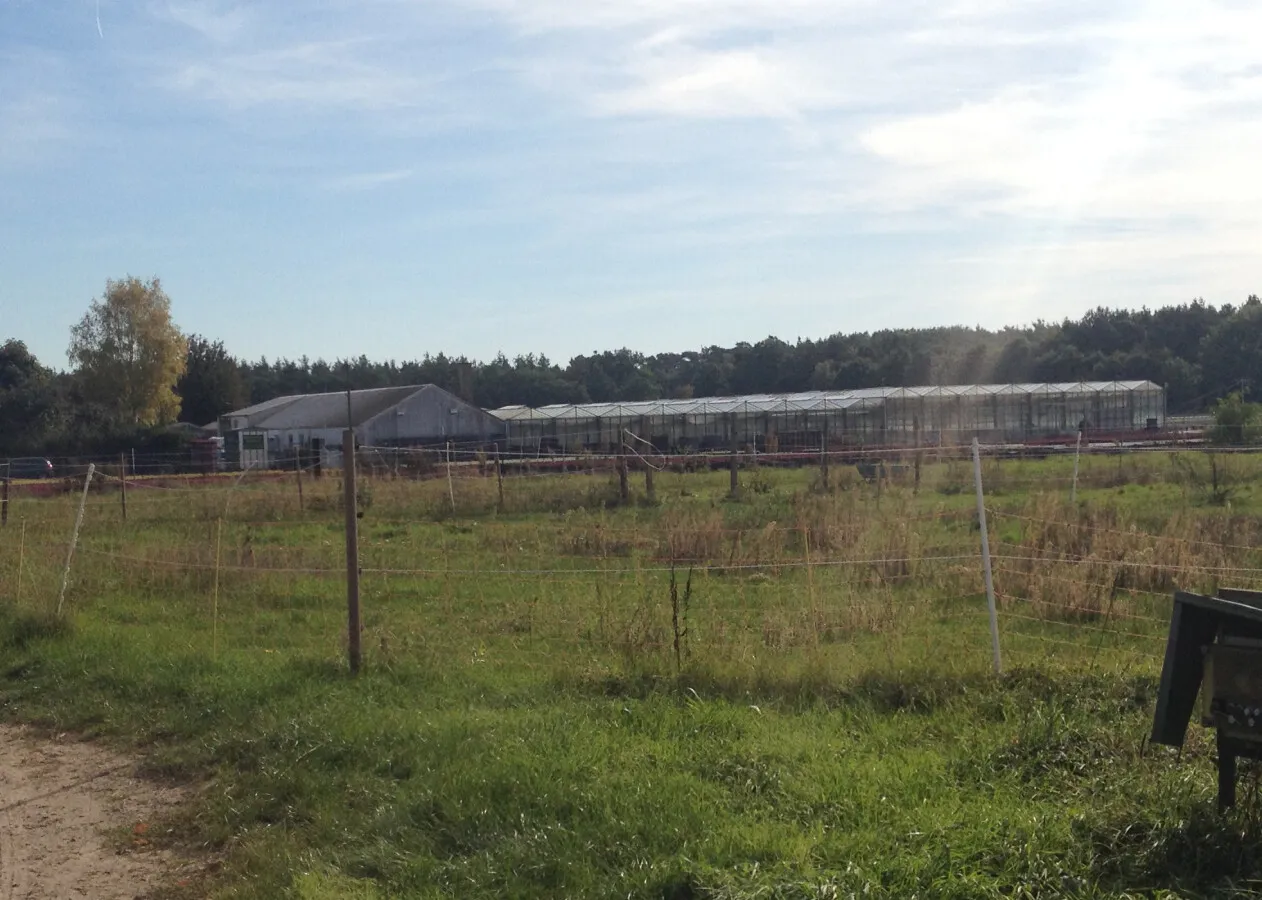 Photo 718-846-712