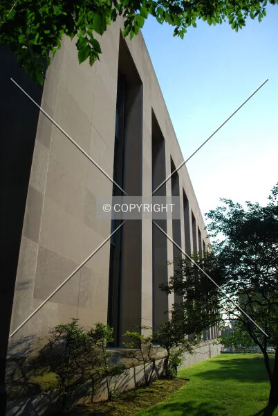Photo 719-269-031