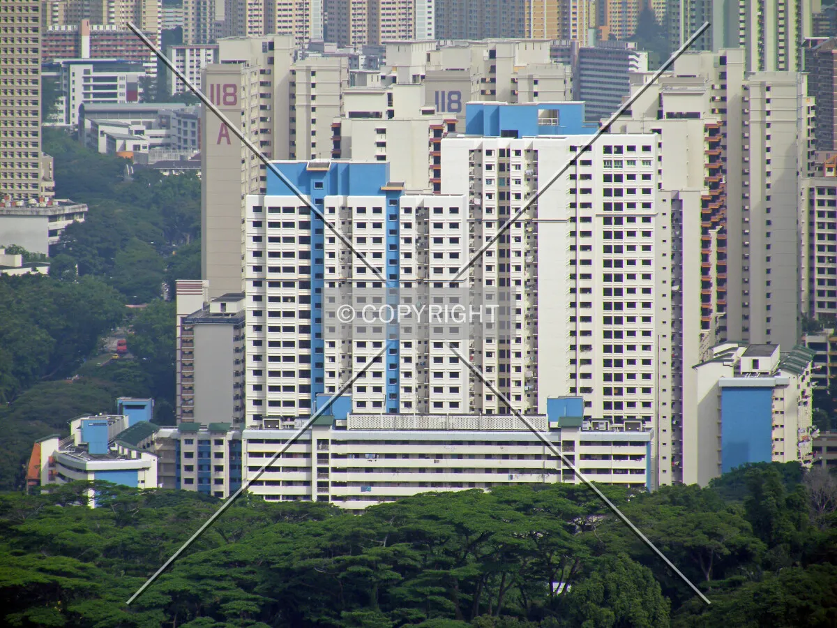 View from the east