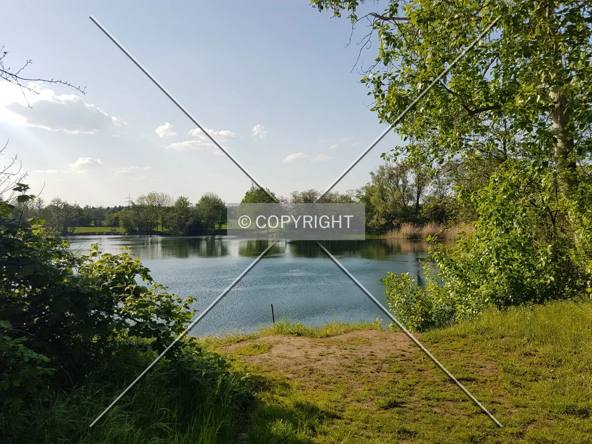 Photo 071-935-319