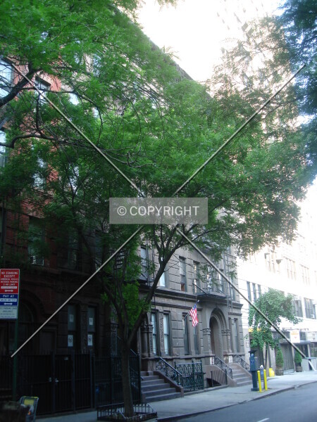 Photo 719-473-034