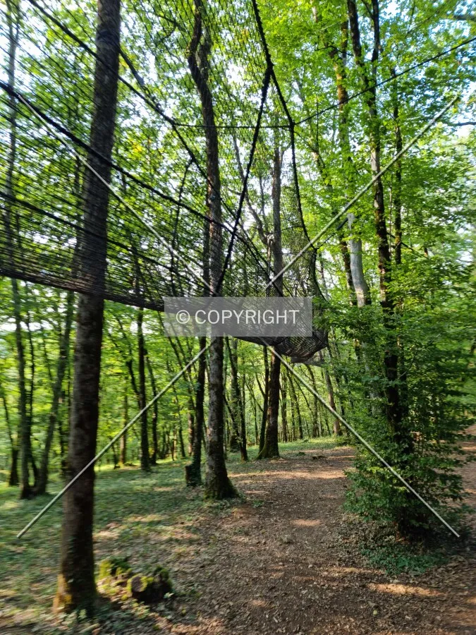 Photo 720-170-706