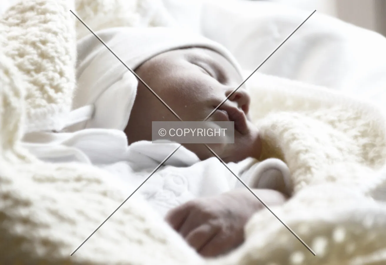 Photo 072-049-831