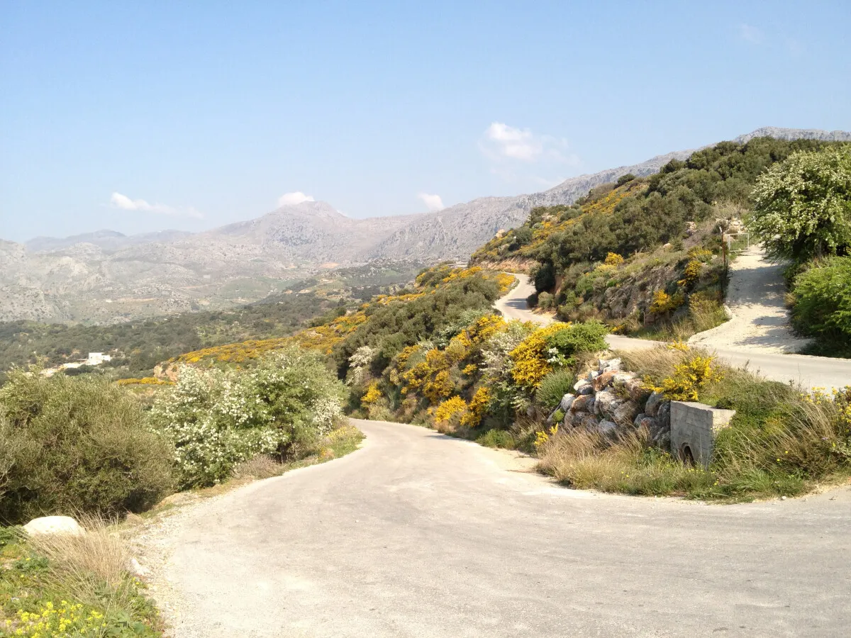 Photo 720-779-850