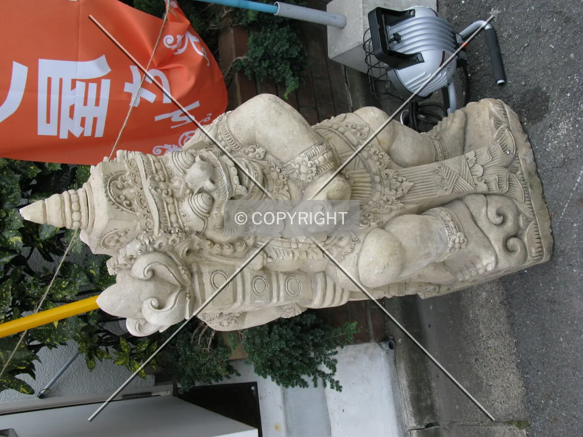Photo 720-790-675