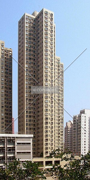 Photo 720-907-941