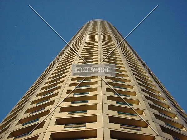View to the top
