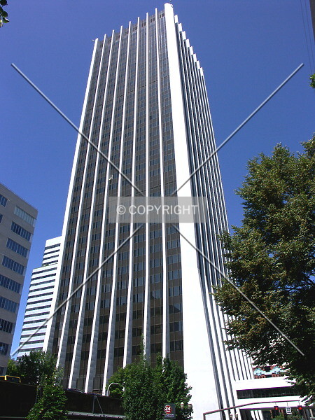 Photo 721-251-904