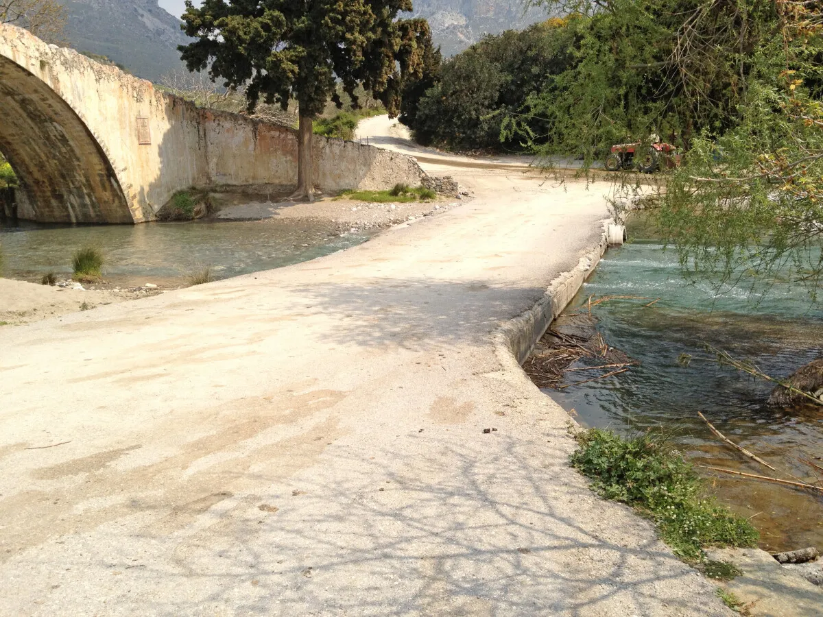 Photo 072-187-817