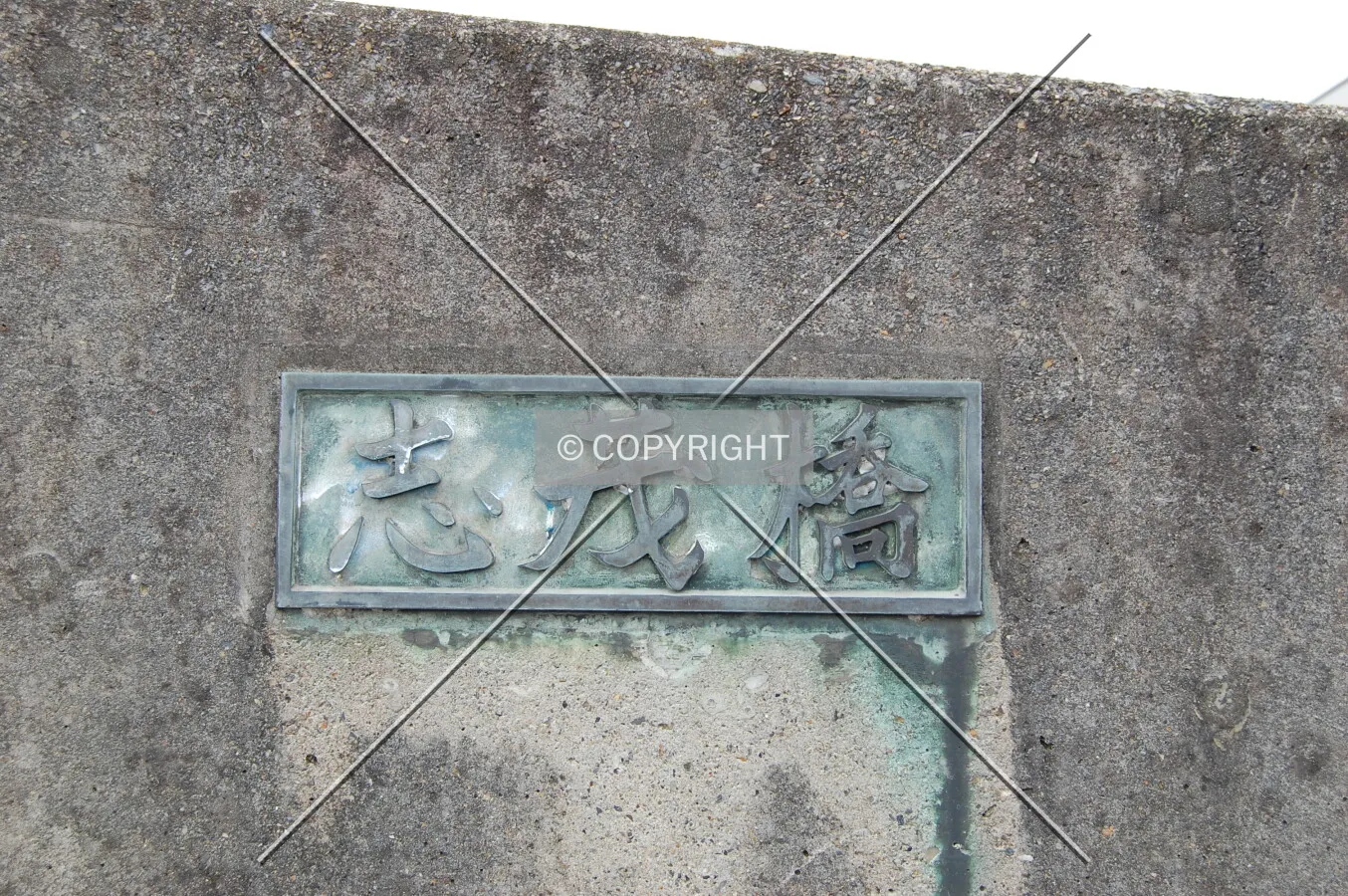 Photo 721-968-914