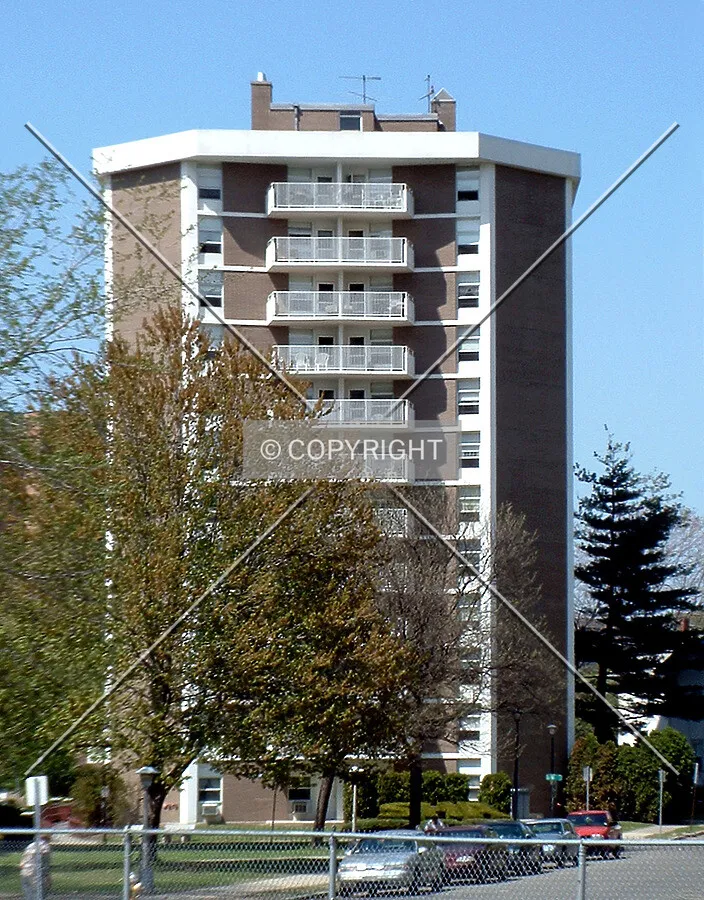 View from the south