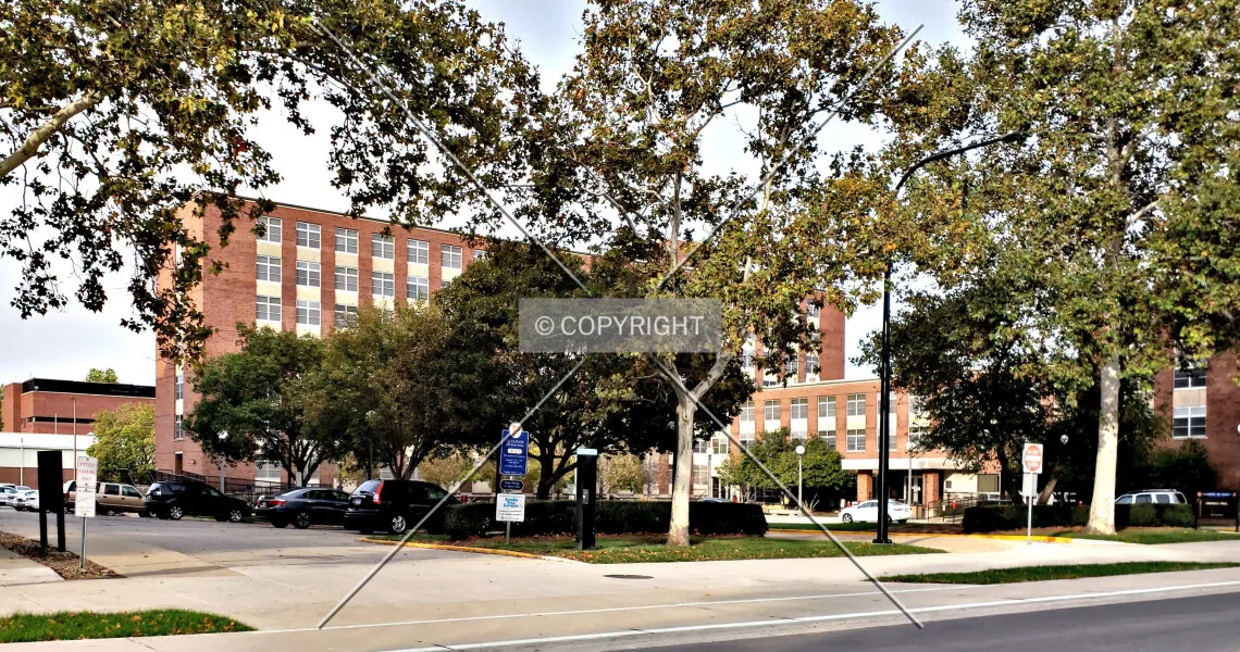 Photo 722-184-801