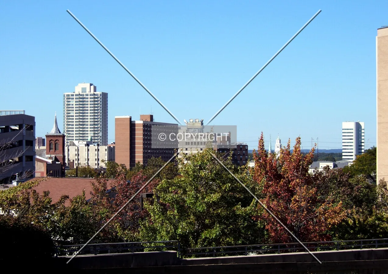 View from the southeast
