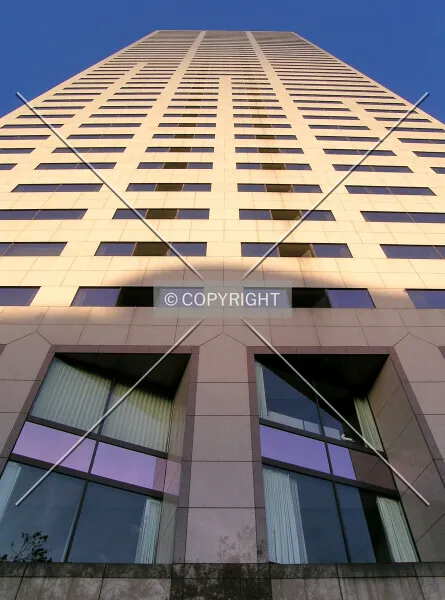 Photo 722-459-727