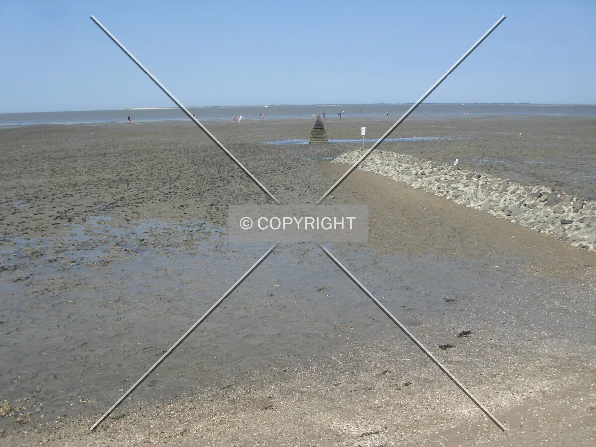 Photo 722-510-581