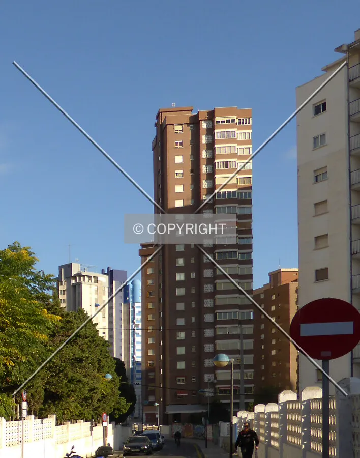 Photo 722-695-368