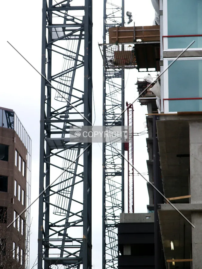 Cranes on the east side