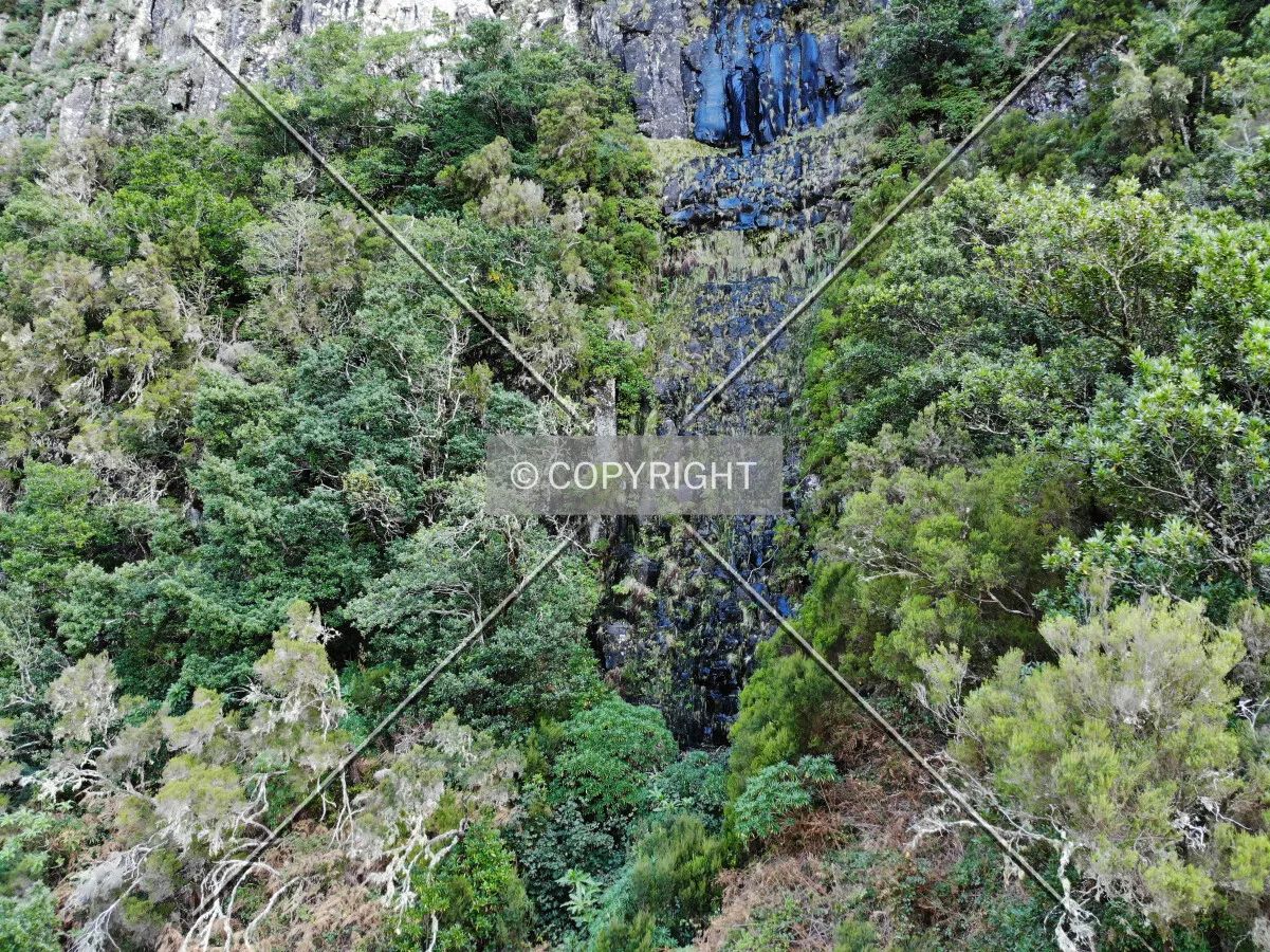 Photo 072-392-198