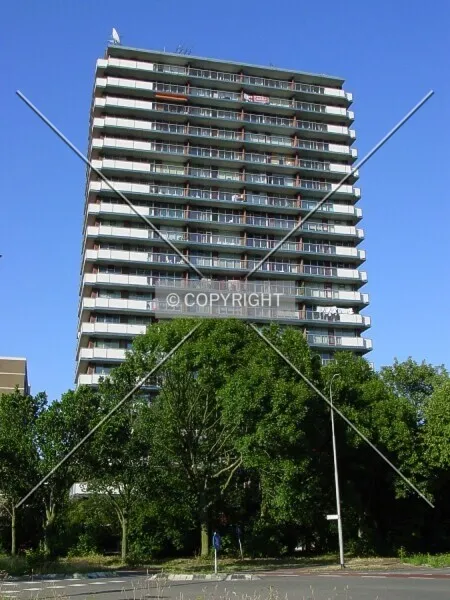 De Blankaard