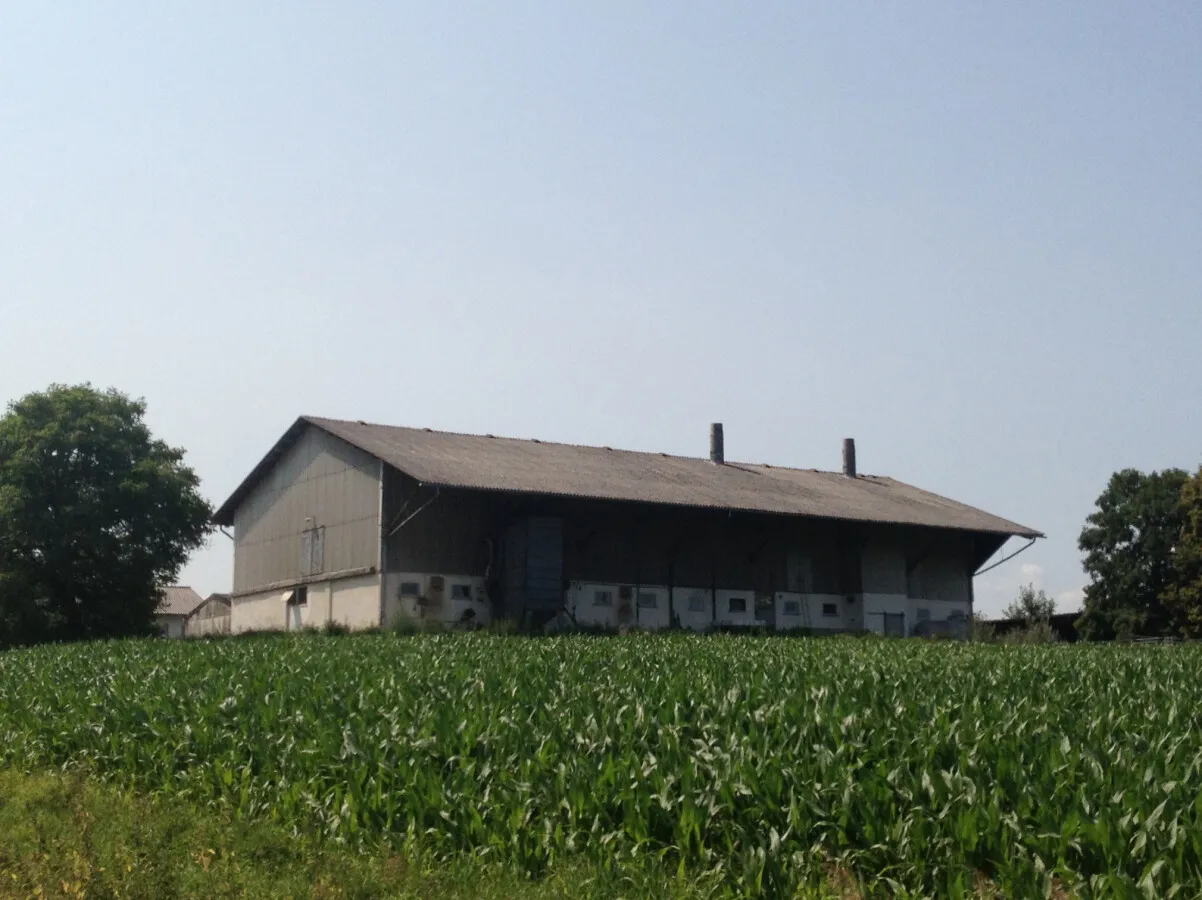 Photo 724-042-252