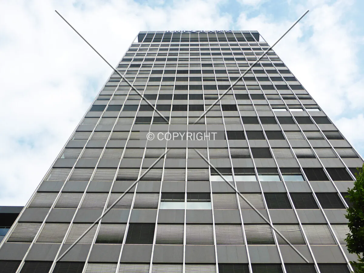Looking up