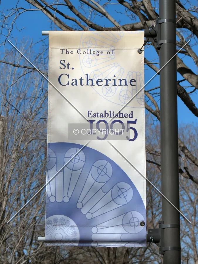 Banner on campus lightposts