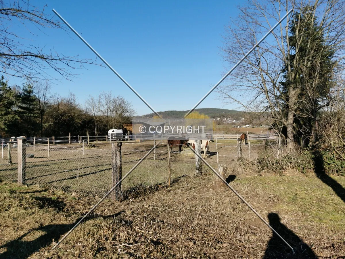 Photo 724-693-052