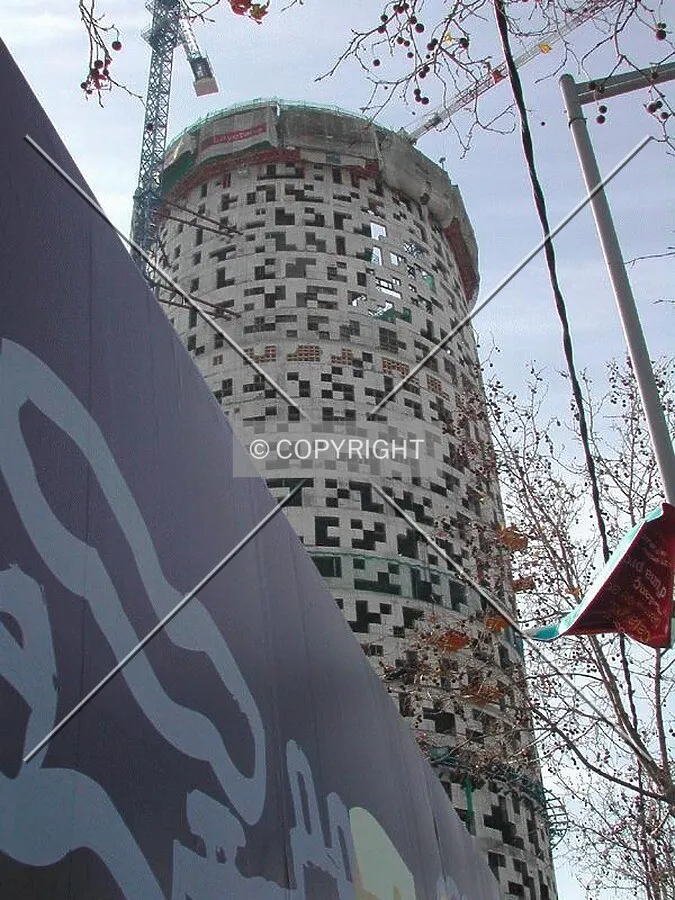 Looking up (February 28, 2003)