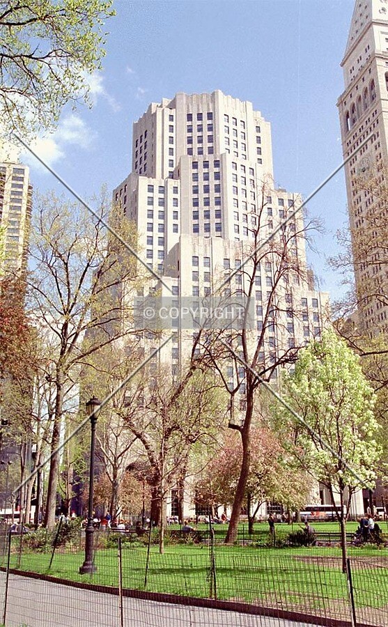 View from Madison Square Park
