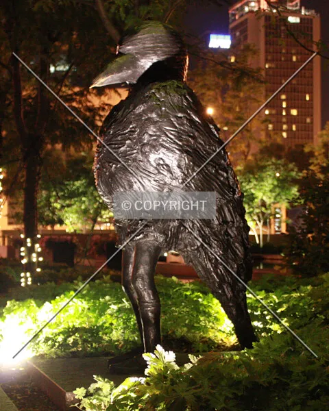 Photo 725-231-592