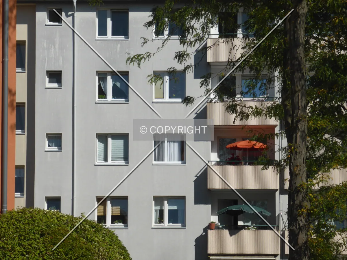 Photo 725-564-824
