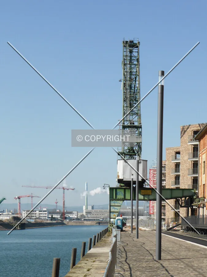 Photo 725-645-942
